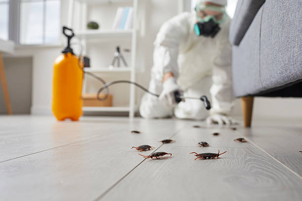 Commercial Kitchen Cockroach Control in Muttontown